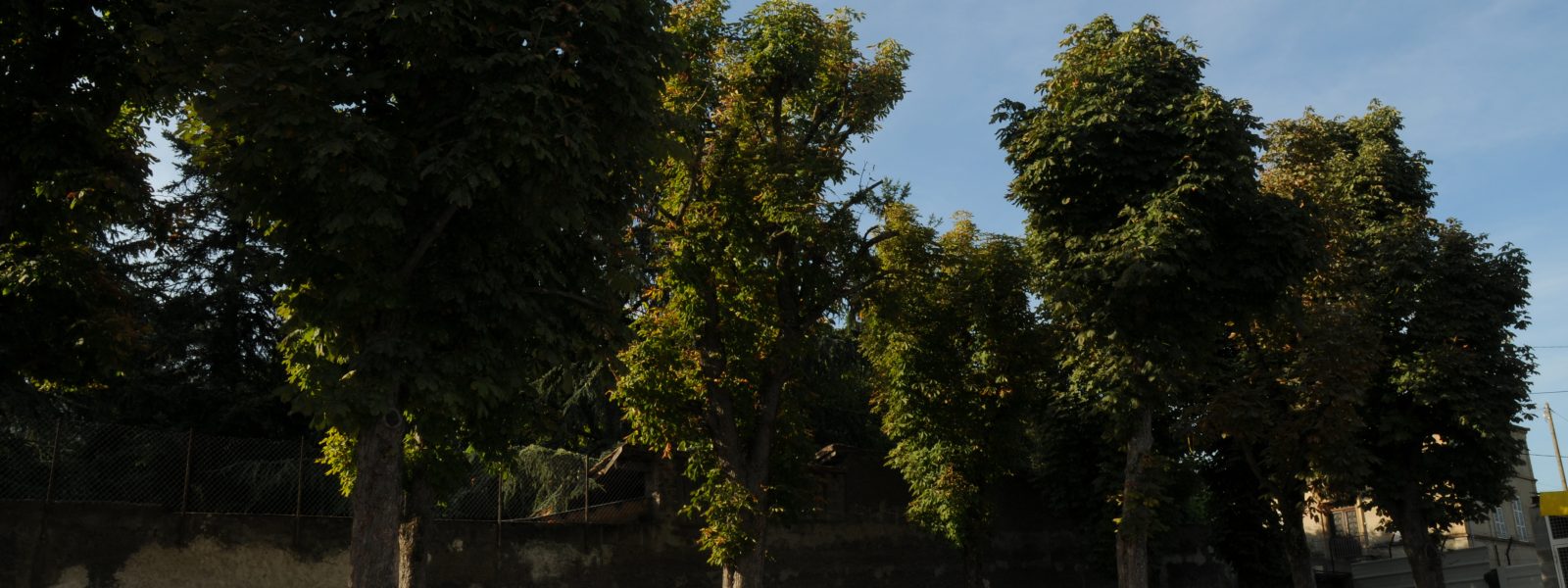 Aménagement de la cour grâce à l’A.P.E.L.